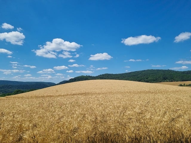 daleké výhledy